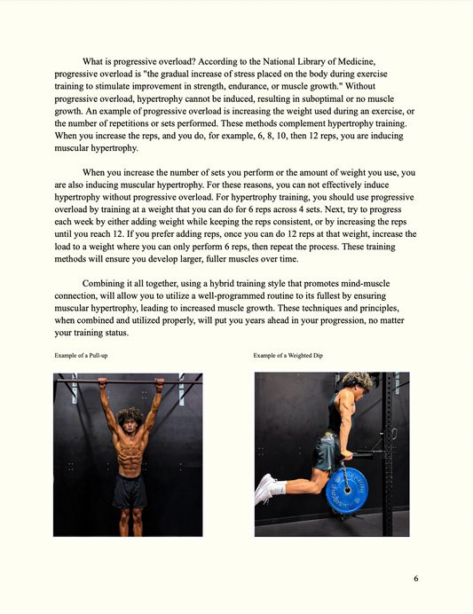 The Manual of Natural Aesthetics eBook